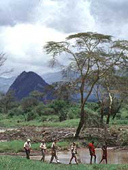 A game walk in the bush near Tsavo West, Kenya.