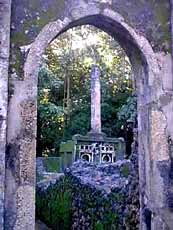 Gedi Ruins is a 12th century town.