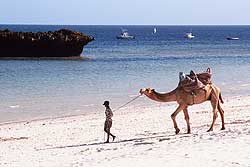A typical day on a Kenyan beach.