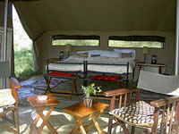 A typical camping safari tent.