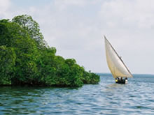 A dhow trip from Shella Royal House.