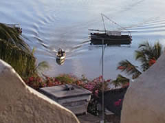 A view from the roof.