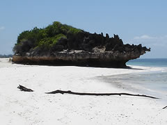 Old coral: One Mile Rock, Watamu.